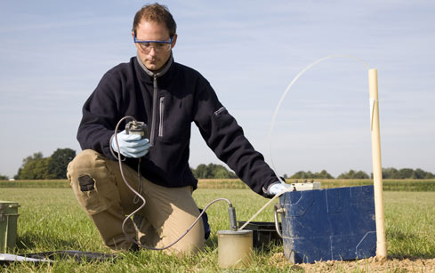 Field Sampling