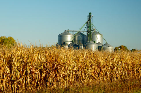 Corn and Bins